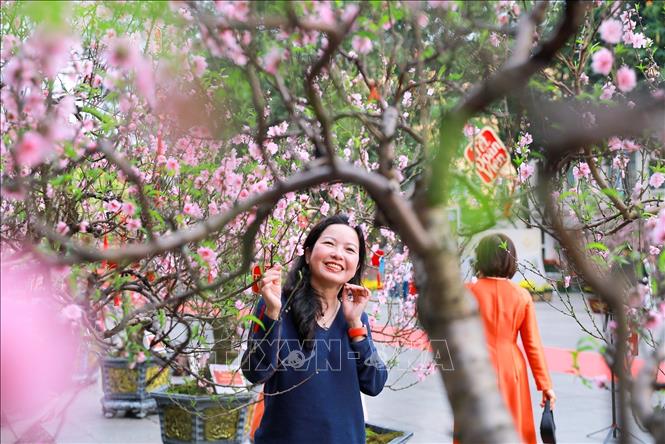 Người dân lưu lại hình ảnh sắc Xuân rực rỡ tại không gian hoa xuân tại Vườn hoa Lý Thái Tổ. Ảnh: Khánh Hoà - TTXVN