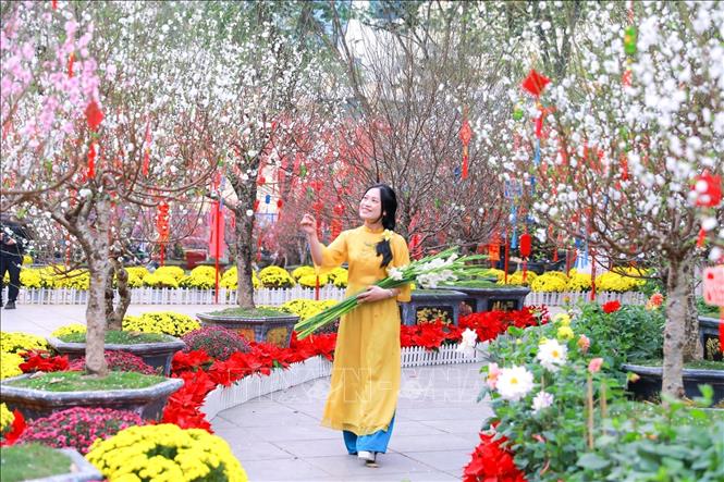 Người dân lưu lại hình ảnh sắc Xuân rực rỡ tại không gian hoa xuân tại Vườn hoa Lý Thái Tổ. Ảnh: Khánh Hoà - TTXVN