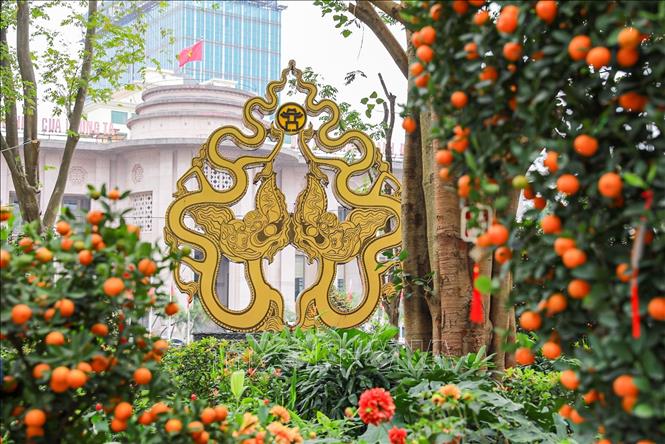 Sắc Xuân rực rỡ tại không gian hoa xuân tại Vườn hoa Lý Thái Tổ. Ảnh: Khánh Hoà - TTXVN