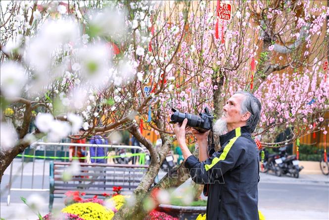 Người dân lưu lại hình ảnh sắc Xuân rực rỡ tại không gian hoa xuân tại Vườn hoa Lý Thái Tổ. Ảnh: Khánh Hoà - TTXVN