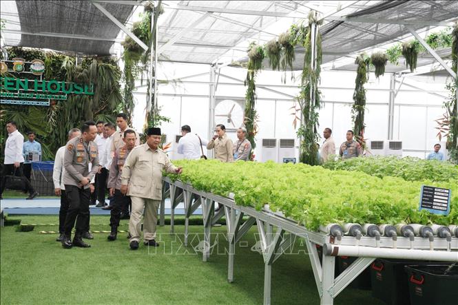 Tổng thống Indonesia Prabowo Subianto thăm một mô hình Đơn vị Dịch vụ cung cấp thực phẩm dinh dưỡng (SPPG). Ảnh: Đỗ Quyên – PV TTXVN tại Indonesia