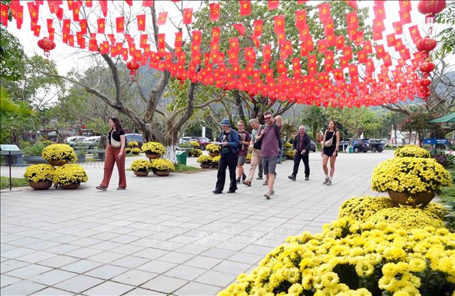 Cờ và hoa được treo dọc lối đi của Trung tâm Du lịch Phong Nha - Kẻ Bàng tạo diện mạo khang trang, tươi mới, sẵn sàng đón du khách trong dịp đầu năm mới. Ảnh: Tá Chuyên - TTXVN
