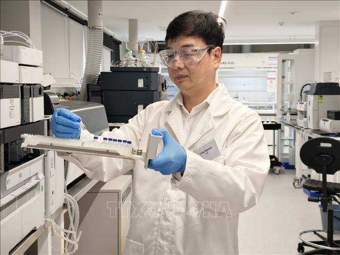 Giáo sư Nghiêm Đức Long – Giám đốc Trung tâm Môi trường và Nước thuộc Đại học Công nghệ Sydney; Chủ tịch Hội Trí thức và Chuyên gia Việt Nam tại Australia (VASEA) - luôn bền bỉ nghiên cứu khoa học trong lĩnh vực mà ông tâm huyết. Ảnh Trung Trang - PV TTXVN tại Australia