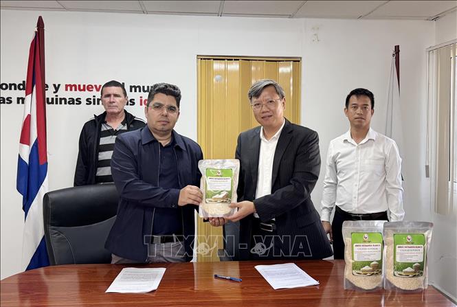 Đại sứ Việt Nam tại Cuba Lê Quang Long trao tượng chưng 250 tấn gạo cho Thứ trưởng Bộ Nông Nghiệp Cuba Telce Abdel González. Ảnh: Việt Hùng-P/v TTXVN tại Cuba