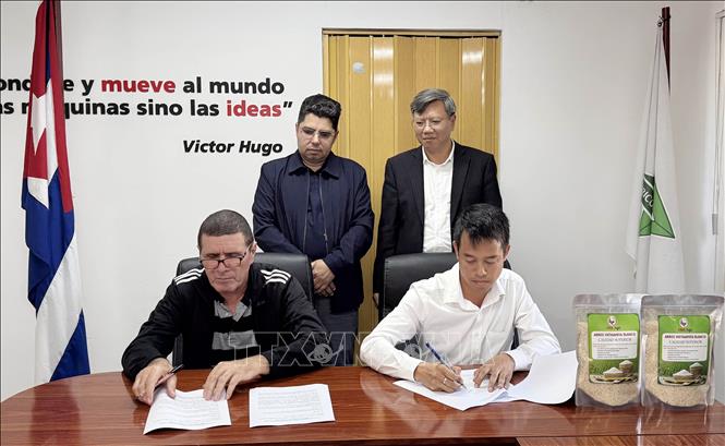 Giám đốc điều hành Dự án lúa AgriVMA Đặng Quang Thủy và Chủ tịch Tập đoàn nông nghiệp Cuba Orlando Linares Morell ký biên bản giao nhận gạo. Ảnh: Việt Hùng-P/v TTXVN tại Cuba