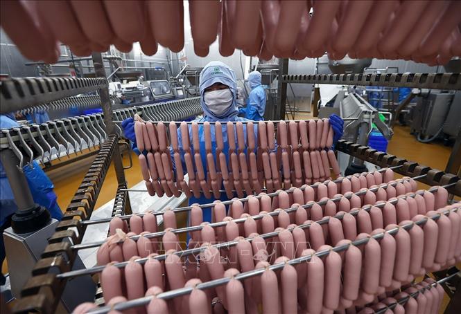 Dây chuyền sản xuất xúc xích của Công ty C.P Việt Nam, Khu Công nghiệp Phú Nghĩa, Hà Nội. Ảnh: Vũ Sinh - TTXVN
