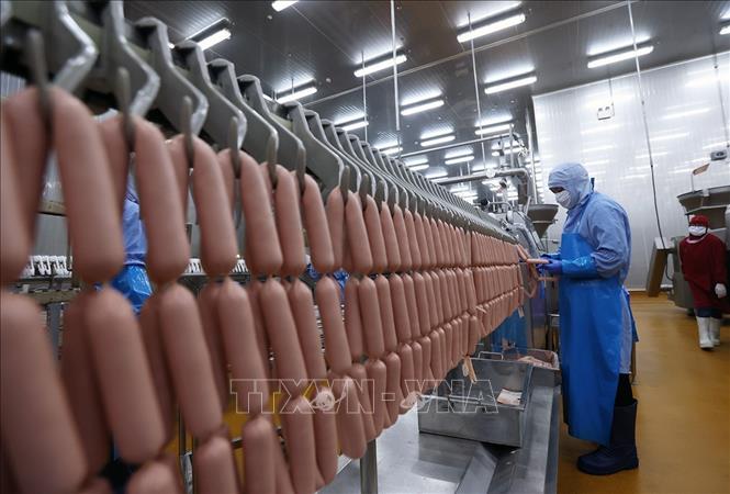 Dây chuyền sản xuất xúc xích của Công ty C.P Việt Nam, Khu Công nghiệp Phú Nghĩa, Hà Nội. Ảnh: Vũ Sinh - TTXVN
