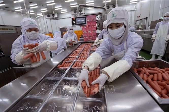 Đóng gói sản phẩm xúc xích ở nhà máy của Công ty C.P Việt Nam (Khu Công nghiệp Phú Nghĩa, Hà Nội). Ảnh: Vũ Sinh - TTXVN