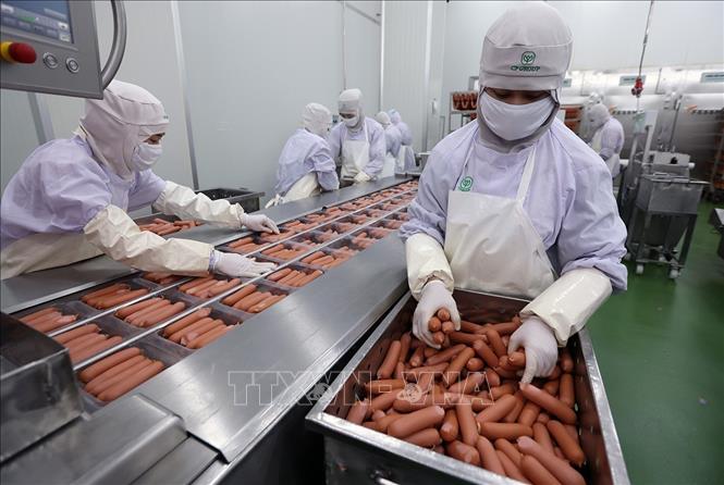 Đóng gói sản phẩm xúc xích ở nhà máy của Công ty C.P Việt Nam (Khu Công nghiệp Phú Nghĩa, Hà Nội). Ảnh: Vũ Sinh - TTXVN