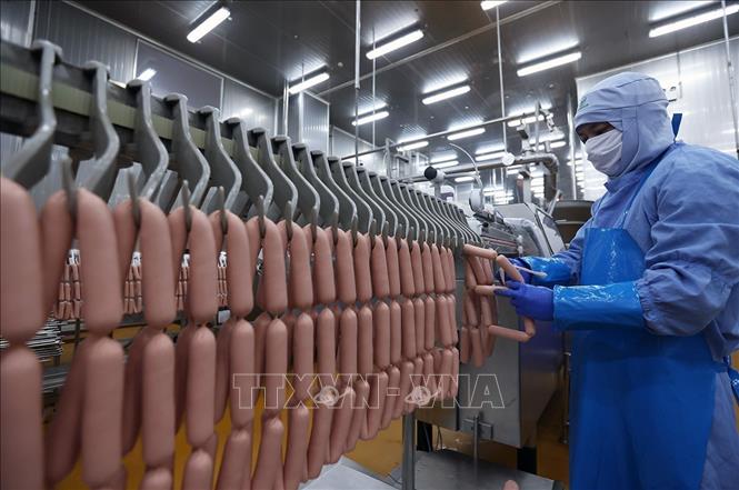 Dây chuyền sản xuất xúc xích của Công ty C.P Việt Nam, Khu Công nghiệp Phú Nghĩa, Hà Nội. Ảnh: Vũ Sinh - TTXVN