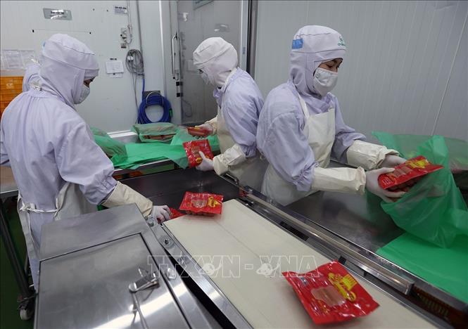 Đóng gói sản phẩm xúc xích tại nhà máy của Công ty C.P Việt Nam. Ảnh: Vũ Sinh - TTXVN