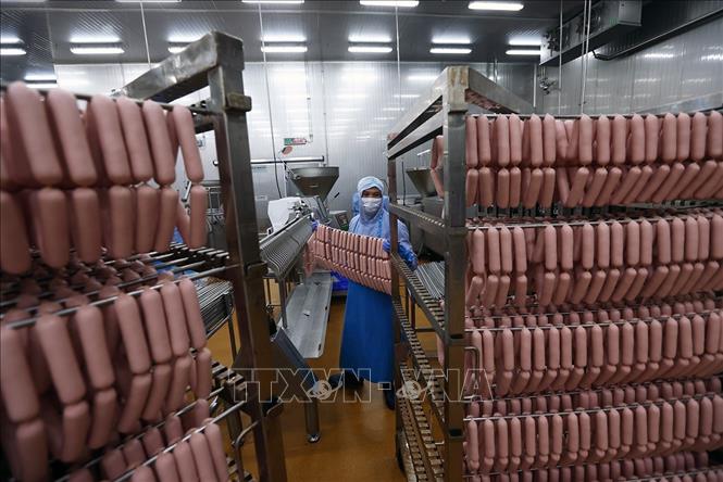 Dây chuyền sản xuất xúc xích của Công ty C.P Việt Nam, Khu Công nghiệp Phú Nghĩa, Hà Nội. Ảnh: Vũ Sinh - TTXVN