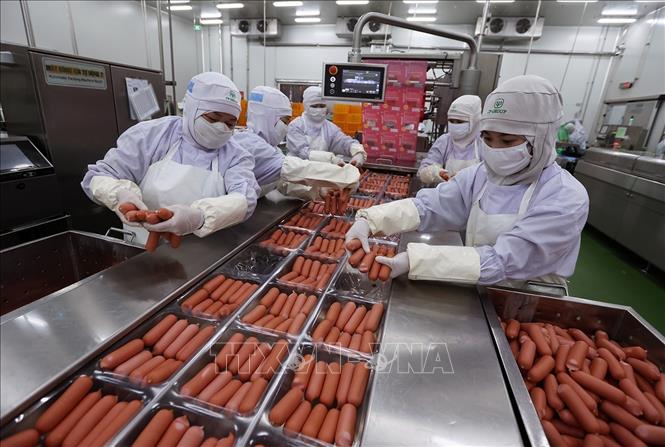 Đóng gói sản phẩm xúc xích ở nhà máy của Công ty C.P Việt Nam (Khu Công nghiệp Phú Nghĩa, Hà Nội). Ảnh: Vũ Sinh - TTXVN