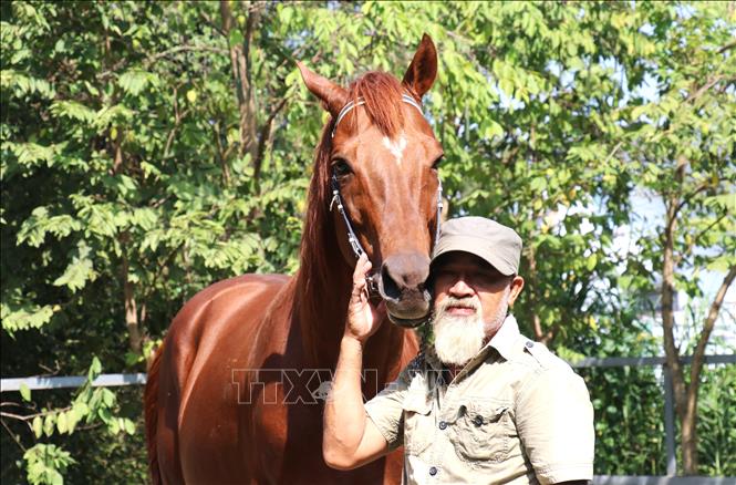 Ngựa Ruby được ông Hà Văn Nở (67 tuổi, xã Đức Lập, Tây Ninh) xem như chính người thân của mình. Ảnh: Bùi Giang - TTXVN