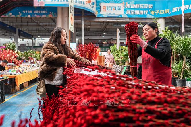 Hoa Tết được bày bán tại tỉnh Vân Nam, Trung Quốc. Ảnh: THX/TTXVN