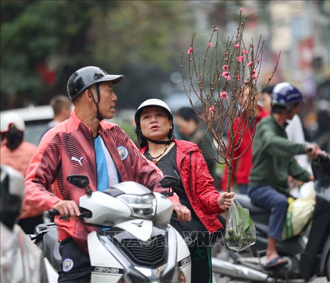 Người dân chọn mua những cành đào nhỏ đón Tết. Ảnh: Thanh Tùng - TTXVN
