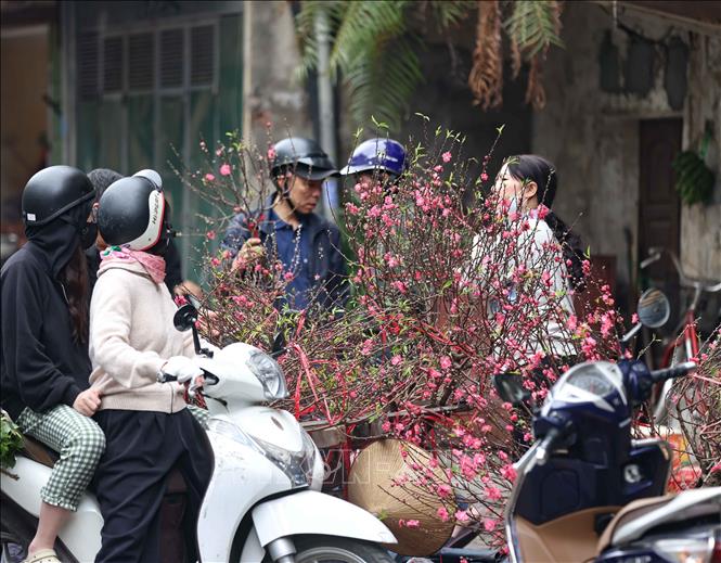 Người dân chọn mua những cành đào nhỏ đón Tết. Ảnh: Thanh Tùng - TTXVN