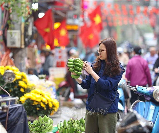 Người dân đi chợ truyền thống, chợ dân sinh để mua sắm Tết. Ảnh: Thanh Tùng - TTXVN
