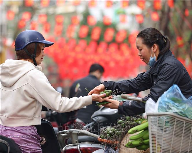 Người dân đi chợ truyền thống, chợ dân sinh để mua sắm Tết. Ảnh: Thanh Tùng - TTXVN