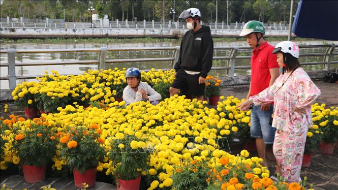 Người dân lựa chọn các loại hoa trang trí Tết tại chợ hoa Xà No. Ảnh: Hồng Thái - TTXVN