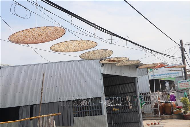 Những mẻ cá khô của người dân phơi dưới nắng Tết. Ảnh: Tuấn Phi - TTXVN