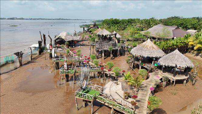 Những khúc gỗ lũa với hình thù uốn lượn tự nhiên được sắp đặt hài hòa trong khuôn viên rộng gần 6 ha trên Cồn Én. Ảnh: Thanh Sang-TTXVN