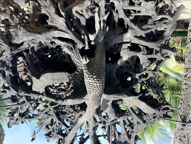 Tác phẩm điêu khắc chim phượng hoàng được chạm khắc tinh xảo từ phần gốc rễ cây gỗ lũa. Ảnh: Thanh Sang-TTXVN