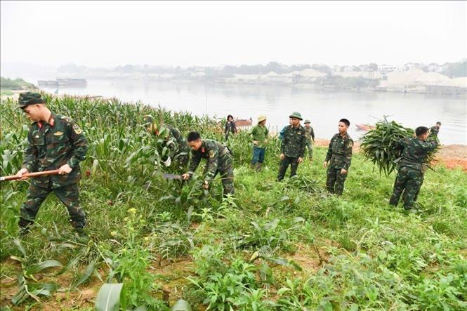 Lực lượng quân đội khẩn trương lắp đặt cầu phao tạm qua sông Lô. Ảnh: Nguyễn Văn Cảnh - TTXVN