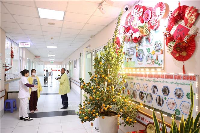 Bệnh viện cũng trang trí cây đào, cây quất tại các khu vực chung của các khoa, phòng nên người bệnh sẽ cảm thấy như đón Tết ở nhà. Ảnh: Minh Quyết - TTXVN