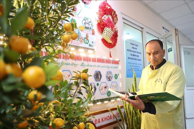 Bệnh viện cũng trang trí cây đào, cây quất tại các khu vực chung của các khoa, phòng nên người bệnh sẽ cảm thấy như đón Tết ở nhà. Ảnh: Minh Quyết - TTXVN