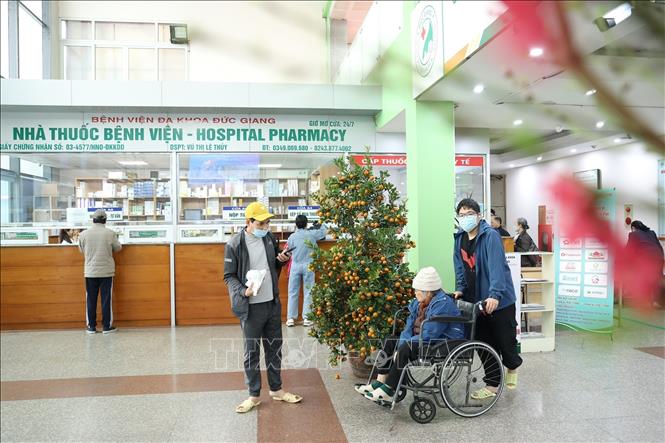 Bệnh viện cũng trang trí cây đào, cây quất tại các khu vực chung của các khoa, phòng nên người bệnh sẽ cảm thấy như đón Tết ở nhà. Ảnh: Minh Quyết - TTXVN
