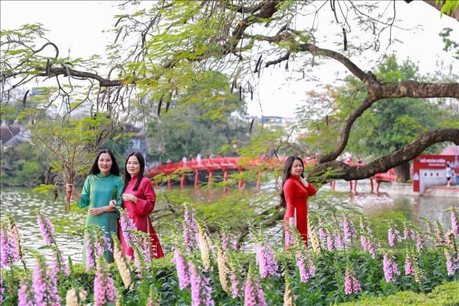 Người dân chụp ảnh lưu lại khoảnh khắc Xuân rực rỡ tại khu vực xung quanh Hồ Hoàn Kiếm. Ảnh: Khánh Hoà - TTXVN