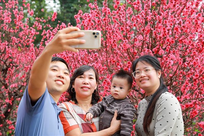 Người dân chụp ảnh lưu lại khoảnh khắc Xuân rực rỡ tại khu vực xung quanh Hồ Hoàn Kiếm. Ảnh: Khánh Hoà - TTXVN