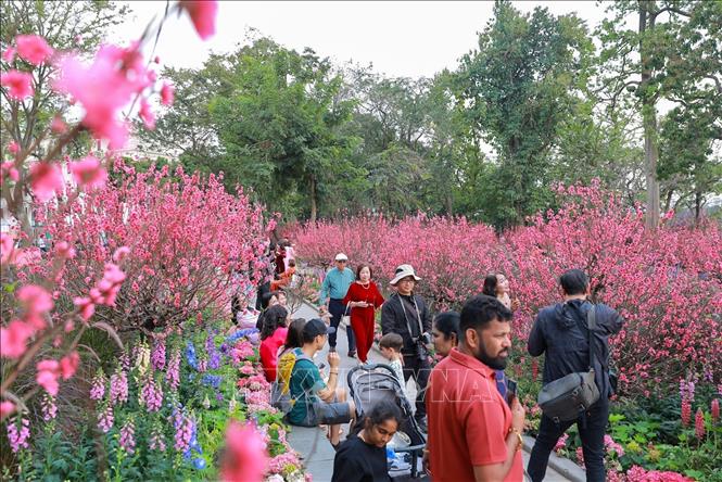Rất đông người dân và du khách chọn khu vực xung quanh Hồ Hoàn Kiếm để vui chơi chiều 28 Tết. Ảnh: Khánh Hoà - TTXVN