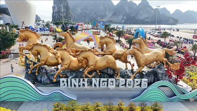 Toàn cảnh không gian “Đại lộ hoa và công nghệ ánh sáng” lung linh bên bờ vịnh di sản. Ảnh: Thanh Vân-TTXVN 