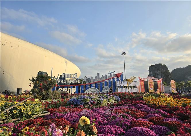 Nhiều không gian check-in hấp dẫn cho du khách.  Ảnh: Thanh Vân-TTXVN 