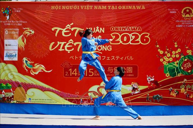 Một hoạt động biểu diễn võ cổ truyền tại lễ hội Xuân quê hương. Ảnh: Phạm Tuân - PV TTXVN tại Nhật Bản