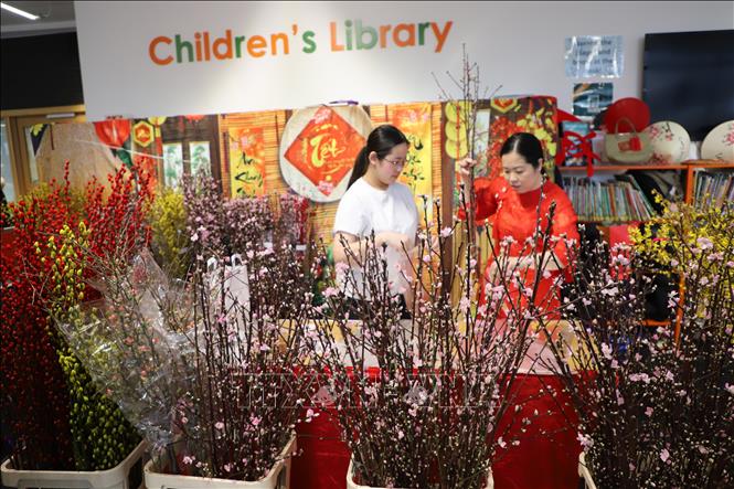 Hoa đào, biểu tượng cho vẻ đẹp của Tết Việt, thu hút khách tại lễ hội. Ảnh: Phong Hà - PV TTXVN tại Anh 