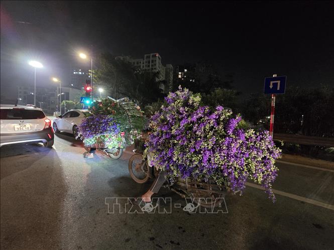 Những xe hoa hướng về chợ Quảng An phục vụ người dân trong dịp Tết. Ảnh: Nguyễn Cúc-TTXVN