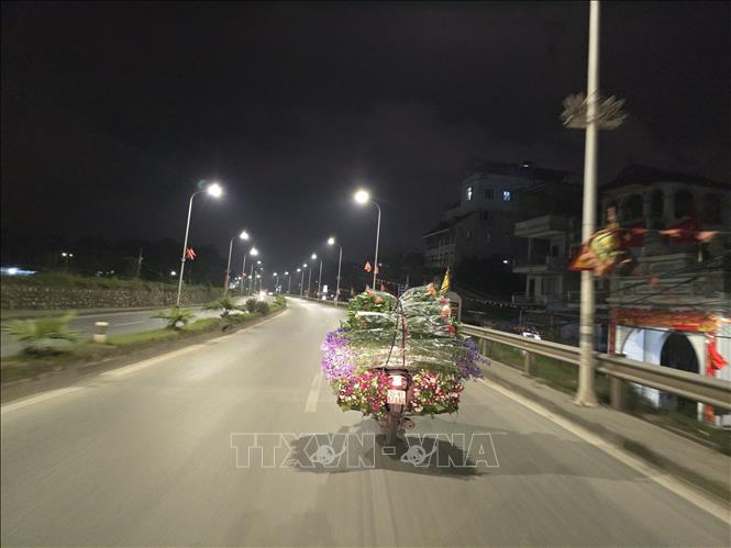 Những xe hoa hướng về chợ Quảng An phục vụ người dân trong dịp Tết. Ảnh: Nguyễn Cúc-TTXVN