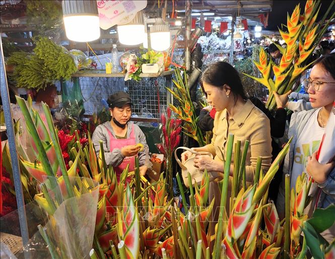 Những loại hoa lạ thu hút sự quan tâm của người dân Thủ đô. Ảnh: Nguyễn Cúc-TTXVN