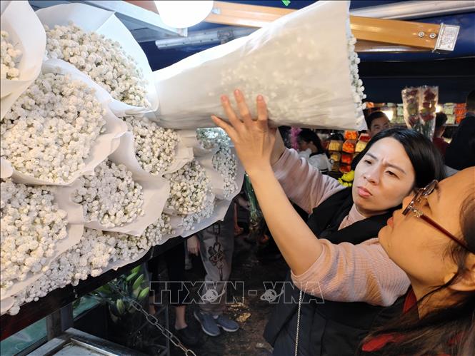 Người dân Hà Nội chọn mua hoa tại chợ. Ảnh: Nguyễn Cúc-TTXVN