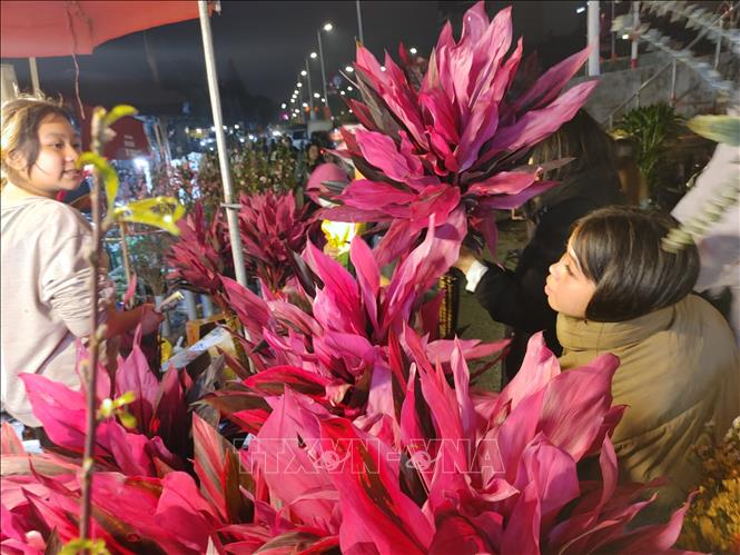 Đi chợ hoa Tết là nét văn hóa, nghi thức đón Xuân của người dân Thủ đô. Ảnh: Nguyễn Cúc-TTXVN