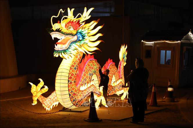 Lễ hội đèn lồng đón Tết Nguyên đán tại Cairo, Ai Cập. Ảnh: THX/TTXVN