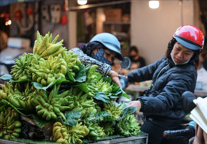 Tìm mua phật thủ ưng ý dâng lên bàn thờ gia tiên. Ảnh: Hoàng Hiếu - TTXVN