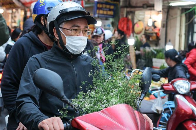 Mua mùi già trong phiên chợ cuối năm là một phong tục truyền thống được nhiều gia đình gìn giữ mỗi dịp Tết đến xuân về.