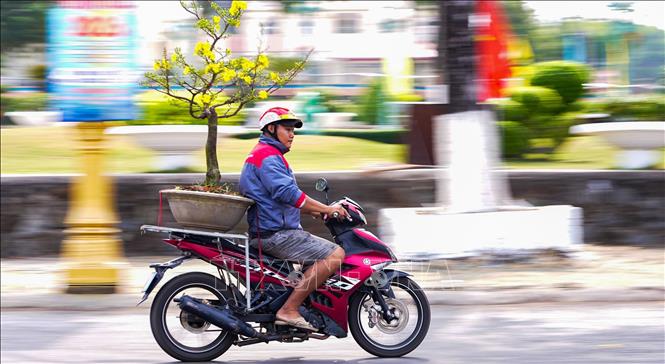 Người dân hối hả chở hoa trên đường phố, sắc xuân lan tỏa khắp các tuyến đường. Ảnh: Minh Phú - TTXVN