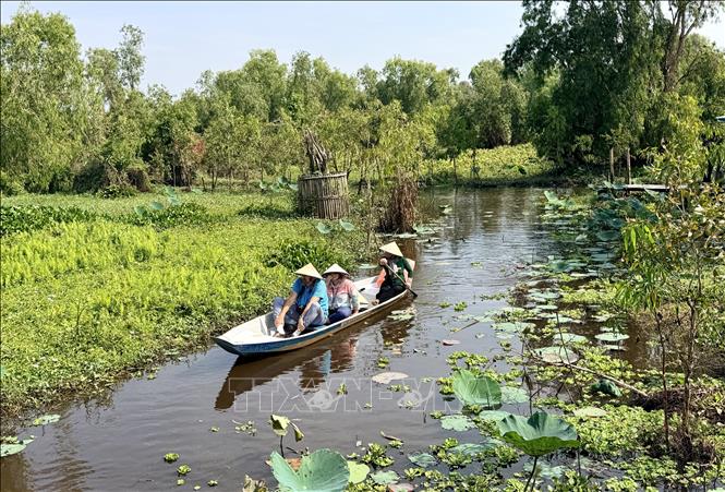 Du khách chèo thuyền tham quan rừng tràm Trà Sư. Ảnh: Thanh Sang - TTXVN