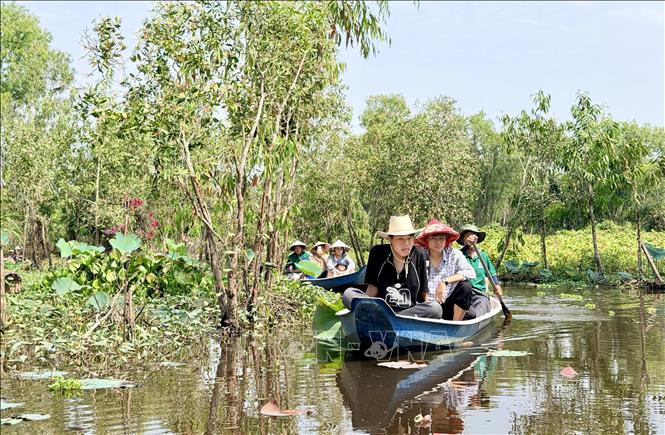 Du khách chèo thuyền tham quan rừng tràm Trà Sư. Ảnh: Thanh Sang - TTXVN
