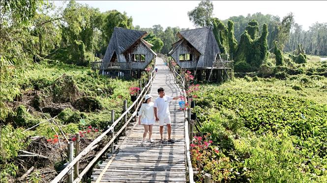 Du khách dạo bước trên cầu tre, ngắm rừng tràm bạt ngàn và lắng nghe tiếng chim gọi bầy giữa không gian xanh mát. Ảnh: Thanh Sang - TTXVN